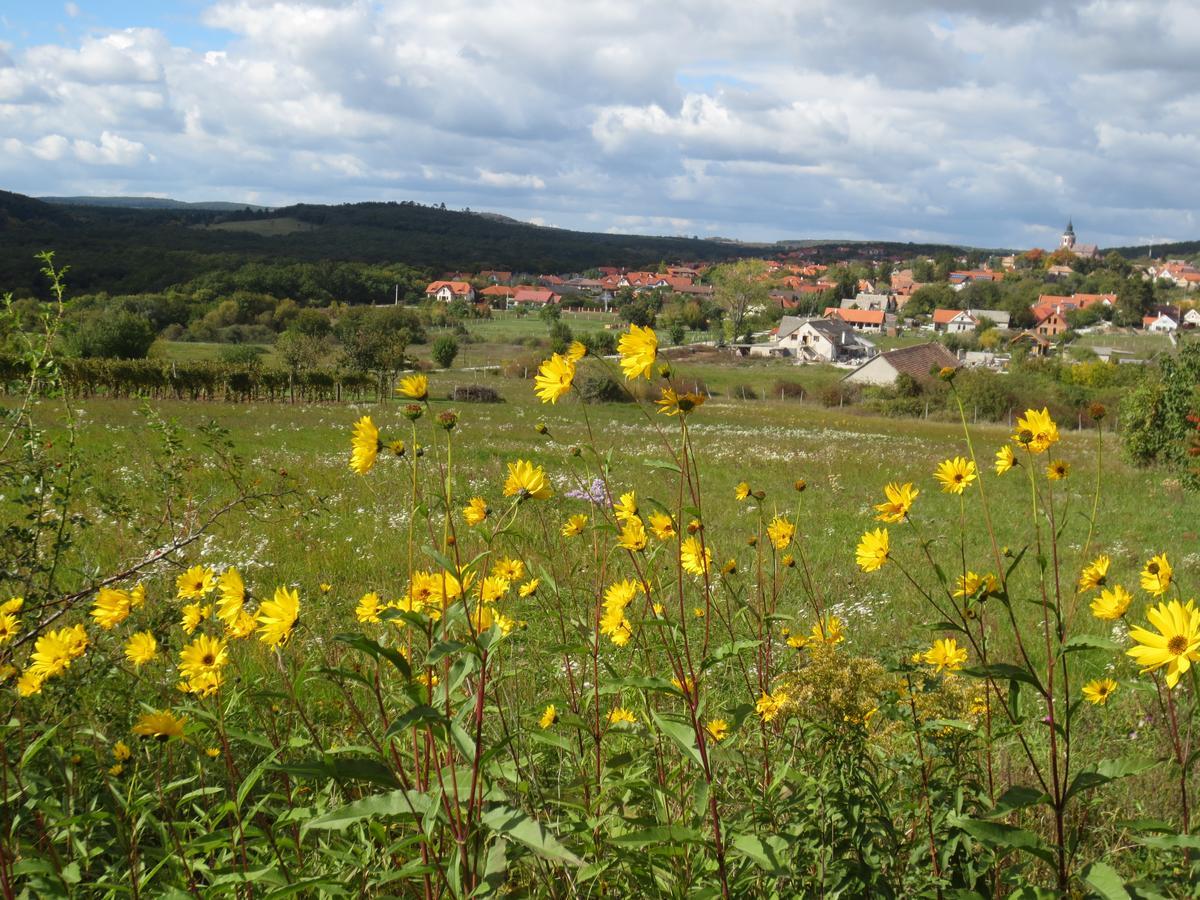 A Tornyos Haz Hotel Csárdamajor Esterno foto