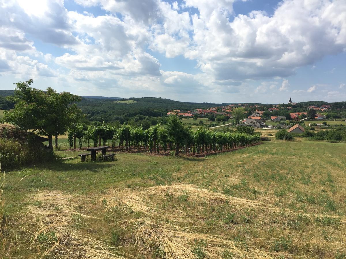 A Tornyos Haz Hotel Csárdamajor Esterno foto