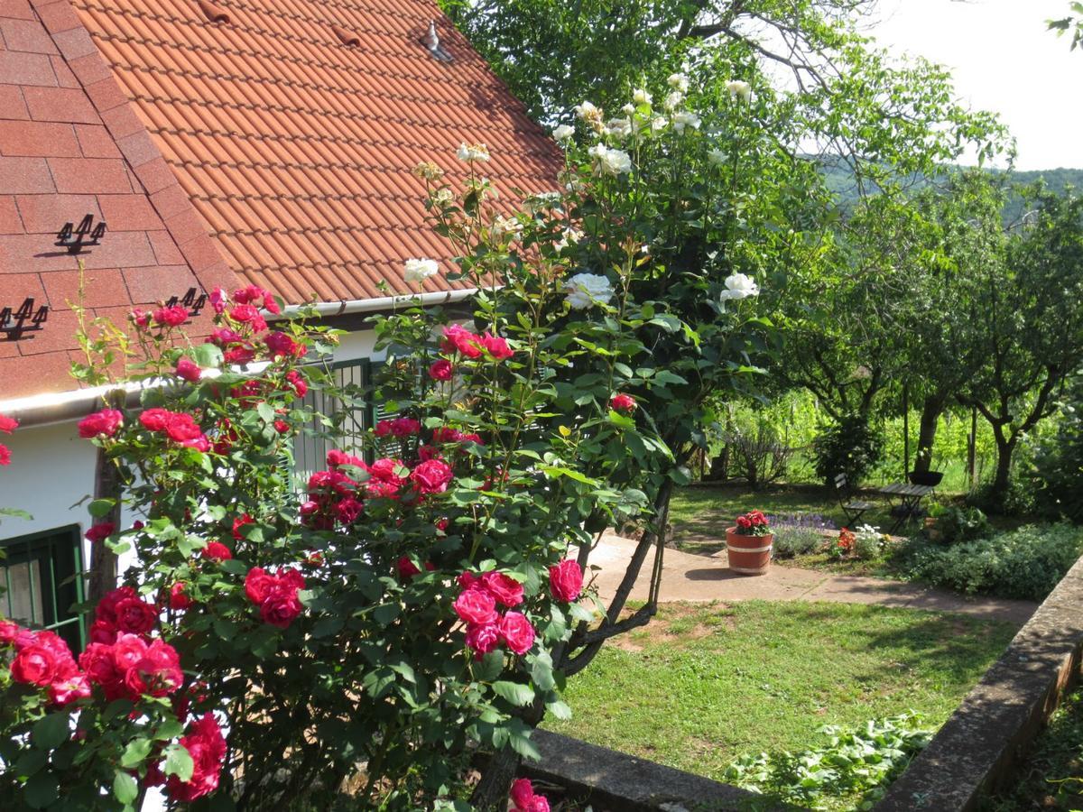 A Tornyos Haz Hotel Csárdamajor Esterno foto